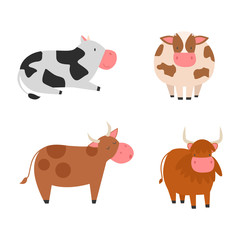 Bulls cows farm animal character vector illustration cattle mammal nature wild beef agriculture.