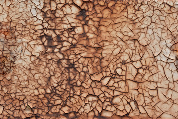 ひび割れた塗装
