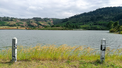 Obraz premium View from beside the river in windy day