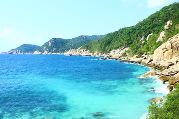 Paradise 