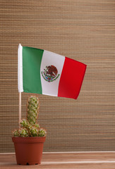 Mexican flag and cactus