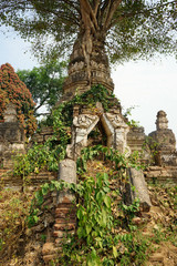 Ancient stupa with tree