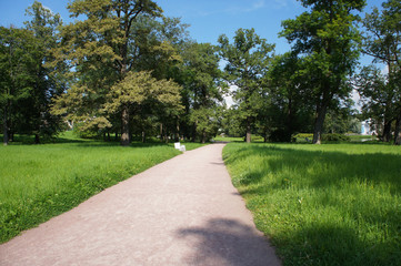 Landscape park at summer with green and footpath