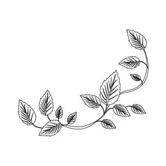 black silhouette of creeper plant vector illustration