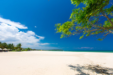 tropical beach