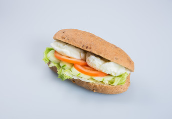 sandwich or tasty egg sandwich on background.