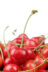 Red Sweet Cherries on White Background
