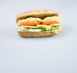 sandwich or tasty egg sandwich on background.