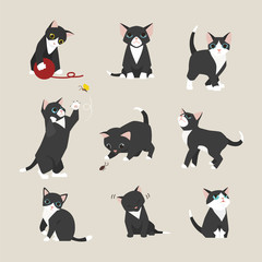 black baby cat kitten illustration set