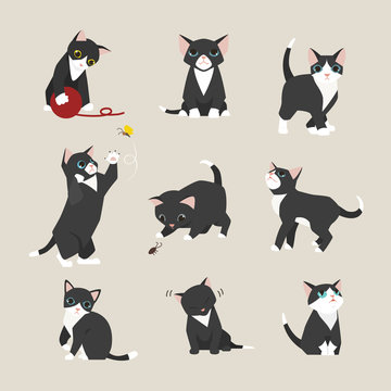 Black Baby Cat Kitten Illustration Set