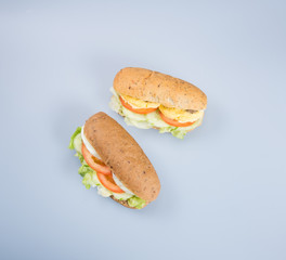 sandwich or tasty egg sandwich on background.