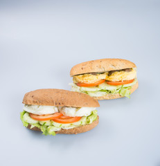 sandwich or tasty egg sandwich on background.
