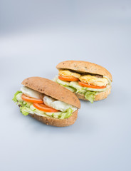sandwich or tasty egg sandwich on background.