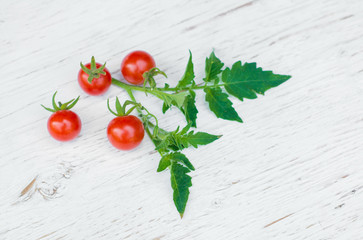 Close-up of fresh, ripe tomatoes on wood background