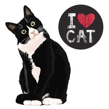 Fototapeta I love cat