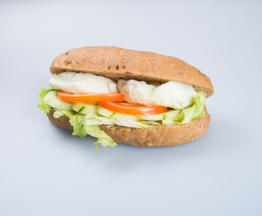 sandwich or tasty egg sandwich on background.