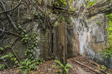 Fototapeta premium パラオ共和国 ペリリュー島