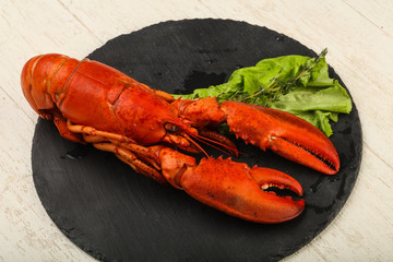 Lobster