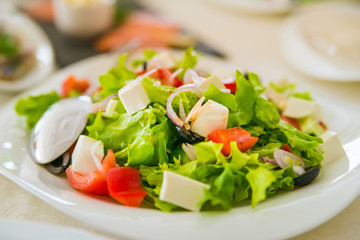 Greek salad in plate