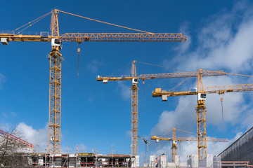 Baukräne auf einer Baustelle