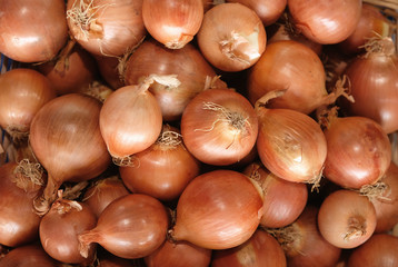 onions background