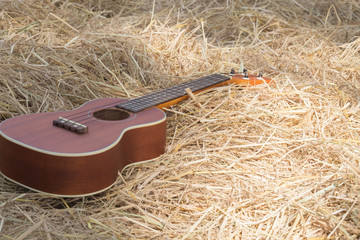 Wooden Ukulele on straw
