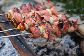 Fried meat on skewers
