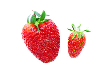 Big and small ripe red strawberry on a white background. Isolated