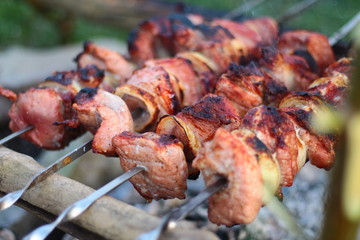 Fried meat on skewers