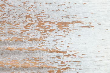Closeup surface wood pattern at white painted wood board at the old wood wall texture background