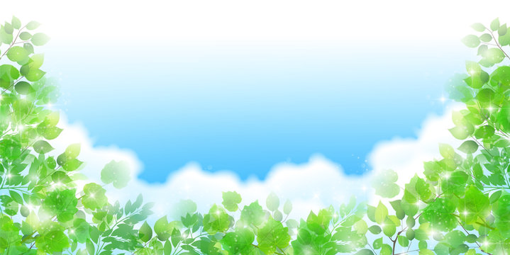 新緑　葉　春　背景 