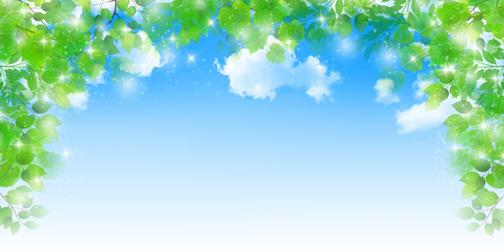 新緑　葉　春　背景 