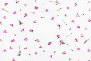 Flowers composition. Frame made of pink flowers on white background. Flat lay, top view
