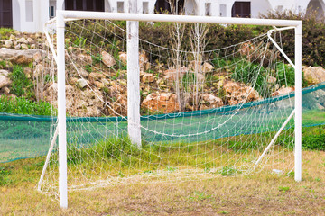 Soccer Goal with field
