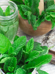 fresh mint leaves