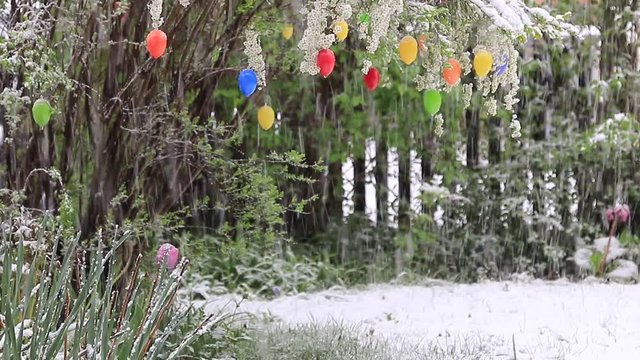 Verschneite Ostern - Osterstrauch mit Ostereiern im Schneefall