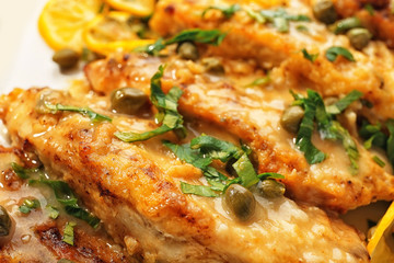 Tasty Italian chicken piccata with lemon on plate, closeup