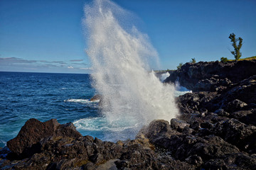 Le souffleur Ile de la réunion