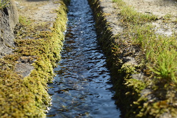 Little canal