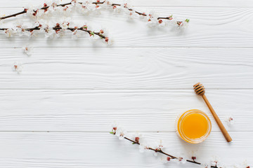 Bank of honey, spoon and blossom branches on a white wooden background.