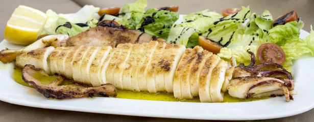 Grilled squid with salad