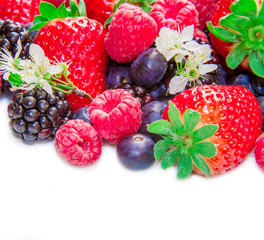 frutti rossi maturi su sfondo bianco