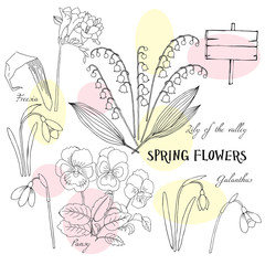 Background with Snowdrops