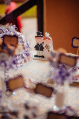 Obraz na płótnie Canvas Delicious wedding reception candy bar dessert table