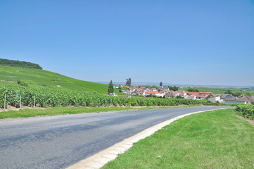 Fototapeta na wymiar Blick auf den berühmten Weinort Oger in der Champagne Region nahe Epernay,Frankreich
