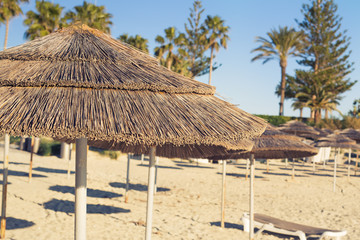 Decorative umbrellas made of palm branches on the background of the beach