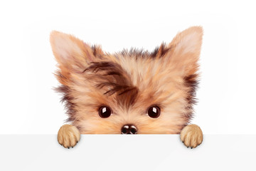 Funny dog holding empty banner, isolated on white