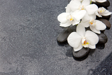 Naklejka na ściany i meble Spa stones and white orchid on grey background.