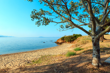 Fototapeta na wymiar Kastri beach, Halkidiki, Greece.