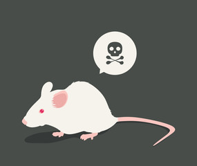 Lab white rat vector illustration